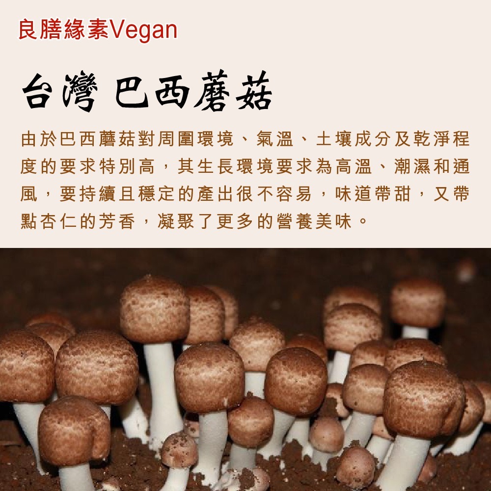 【良膳緣素Vegan】台灣巴西蘑菇乾菇45g (冷凍乾燥技術)禮盒-細節圖3