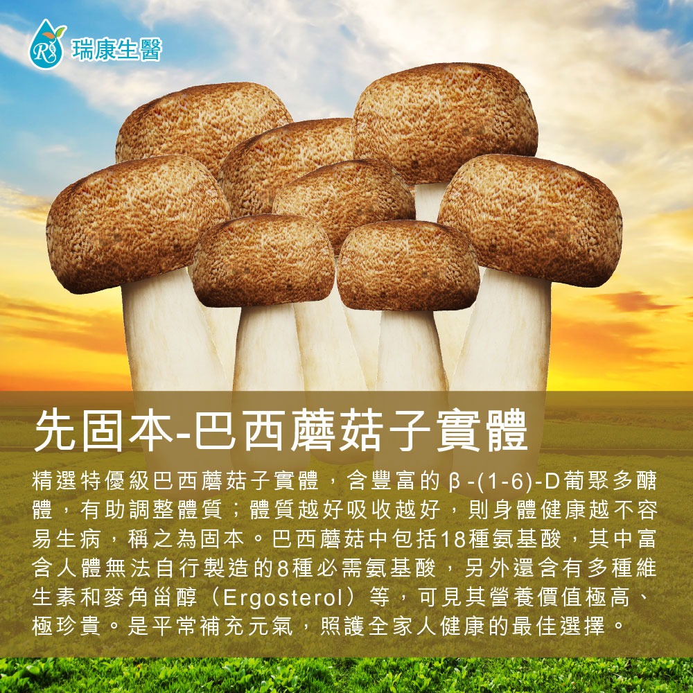 【瑞康生醫】台灣巴西蘑菇60g(姬松茸)乾菇-細節圖2