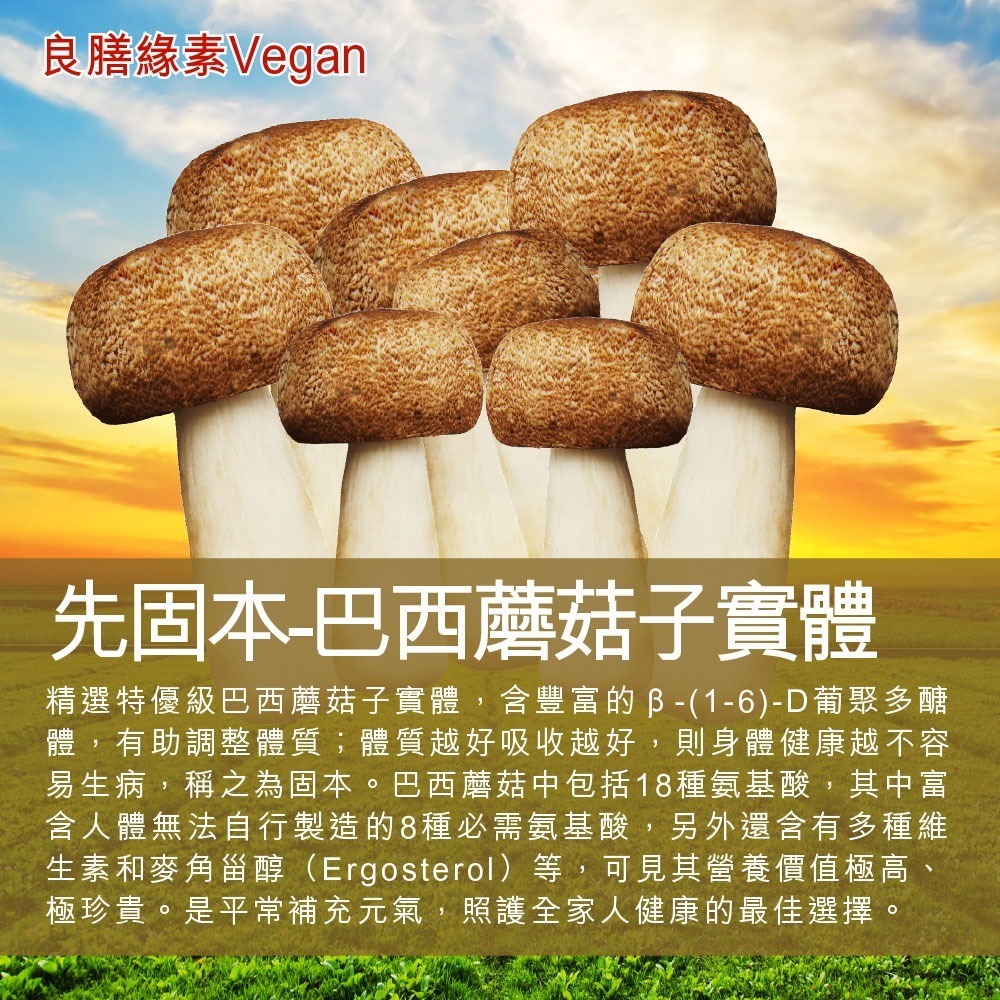 【良膳緣素Vegan】台灣巴西蘑菇乾菇55g-冷凍乾燥技術-家庭號/包-細節圖2