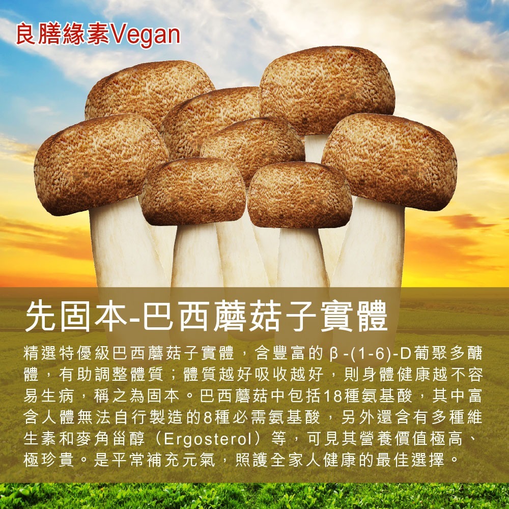 【瑞康生醫】台灣巴西蘑菇乾菇25g(冷凍乾燥技術)1包-細節圖2