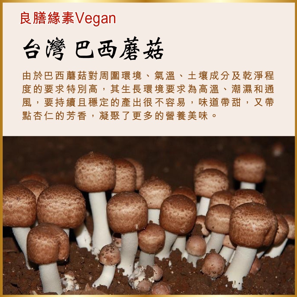 【瑞康生醫】台灣巴西蘑菇乾菇25g(冷凍乾燥技術)1包-細節圖3