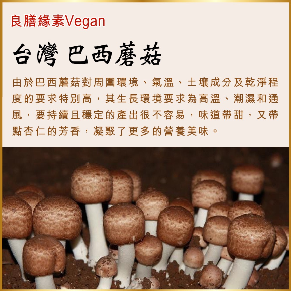【良膳綠素Vegan】最高級-台灣巴西蘑菇乾菇80g-冷凍乾燥技術/包-細節圖3
