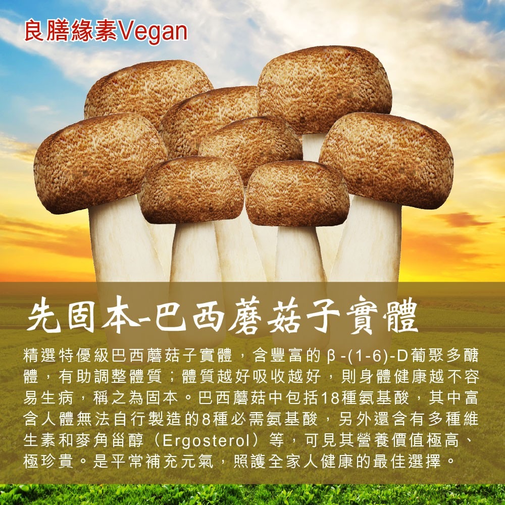 【良膳綠素Vegan】台灣特級(姬松茸)巴西蘑菇-乾菇/瓶-細節圖2