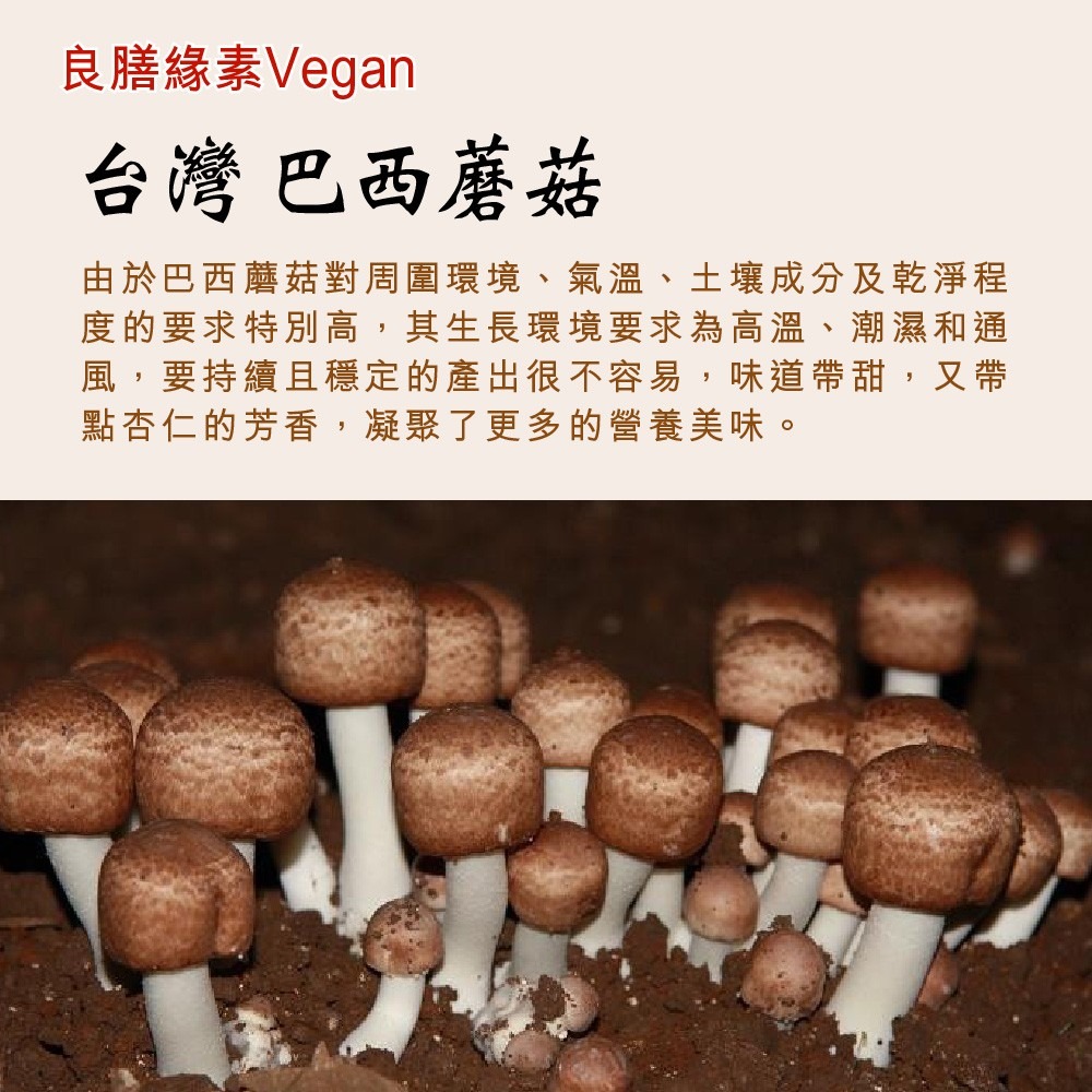 【良膳綠素Vegan】台灣特級(姬松茸)巴西蘑菇-乾菇/瓶-細節圖4