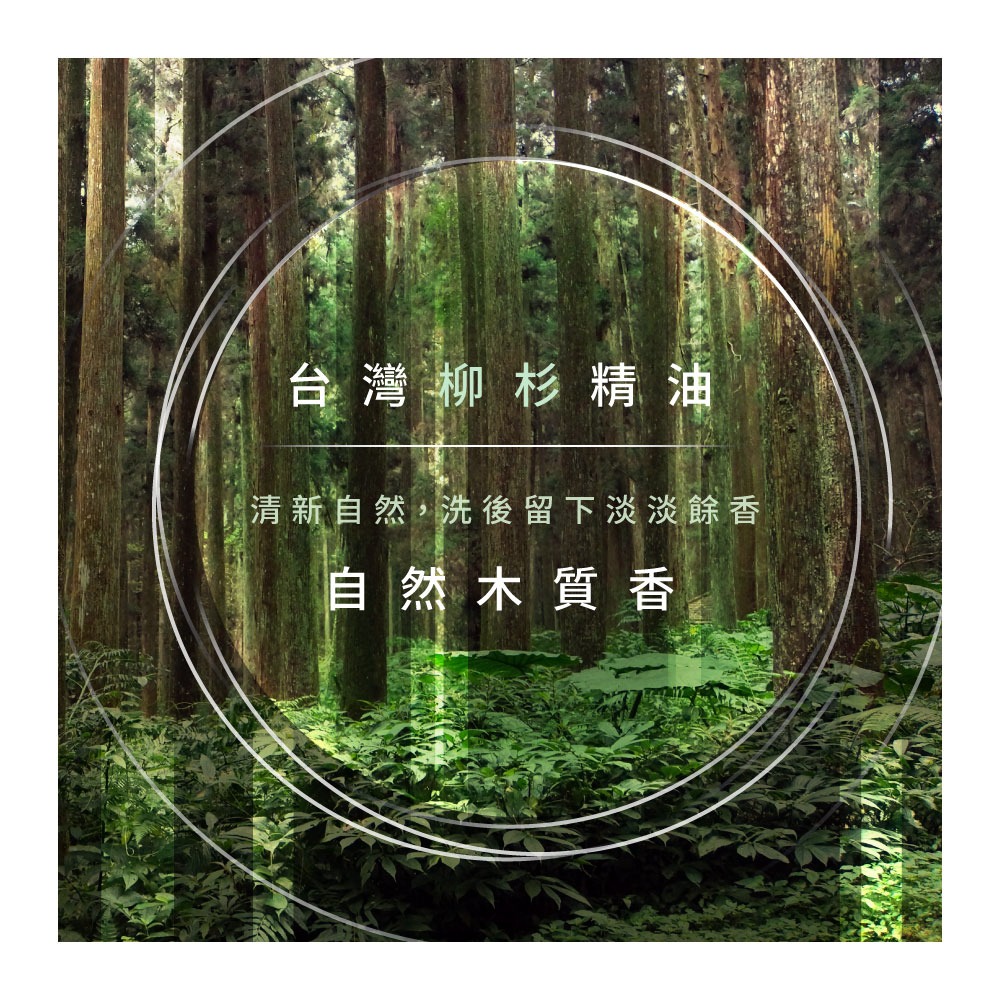 【皇家竹炭】竹炭胺基酸星空皂禮盒(3入組)  交換禮物 胺基酸皂 肥皂-細節圖4