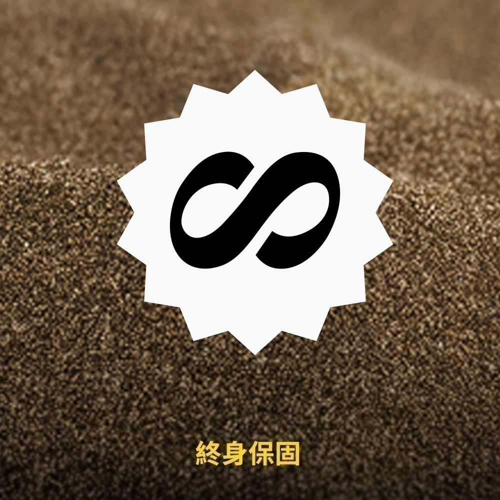 金士頓 Canvas Go!Plus SD 記憶卡 64GB V30 U3 流暢4K SDG4-細節圖7