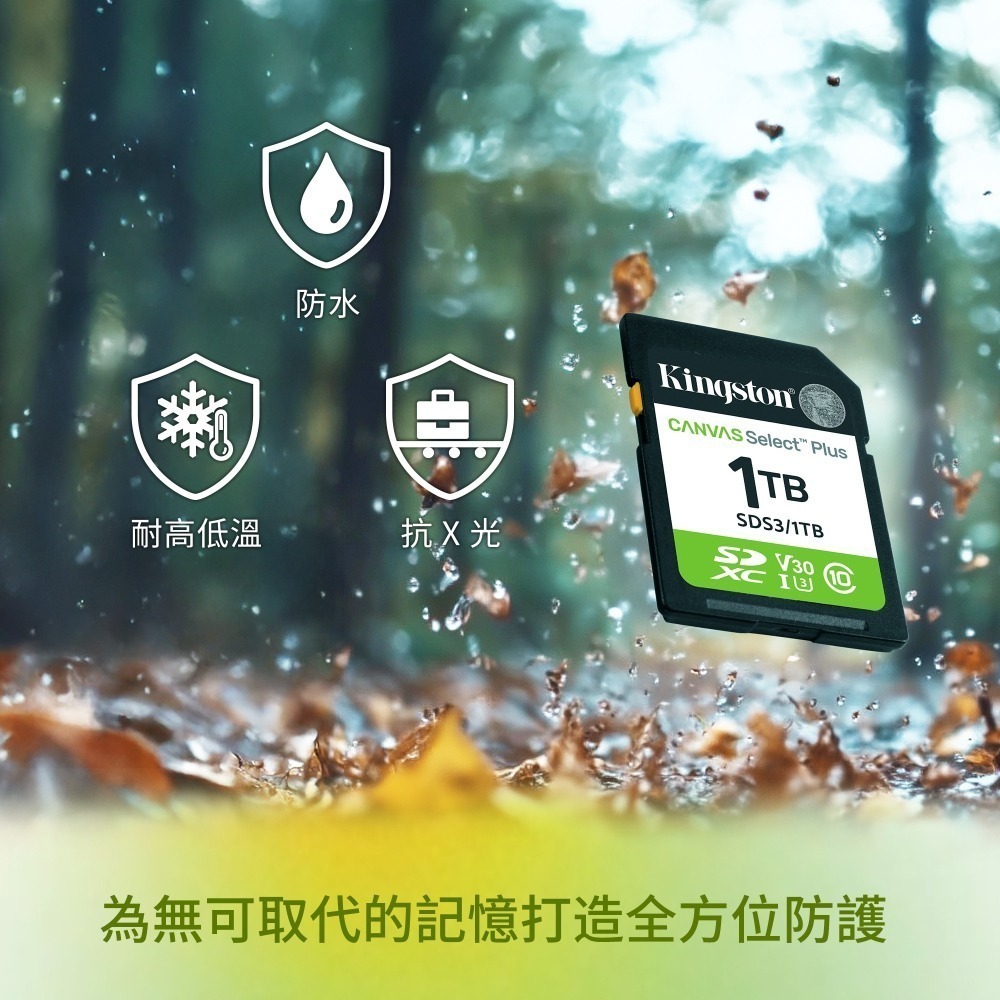 金士頓 Canvas Select Plus 64GB Class 10 UHS-I SD 記憶卡 SDS3-細節圖5