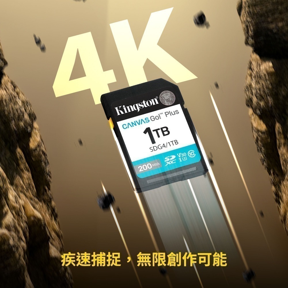 金士頓 Canvas Go!Plus 128GB SD 記憶卡 V30 U3 4K影片錄製 SDG4-細節圖5