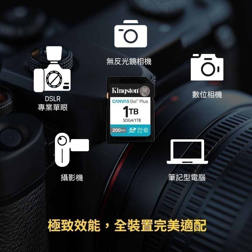 金士頓 Canvas Go!Plus 256GB SD 記憶卡 V30 U3 4K影片錄製 SDG4-細節圖3