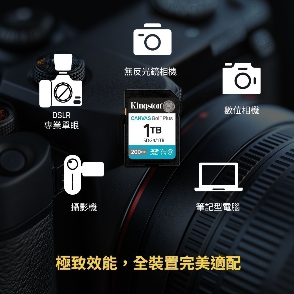 金士頓 Canvas Go!Plus 256GB SD 記憶卡 V30 U3 4K影片錄製 SDG4-細節圖3