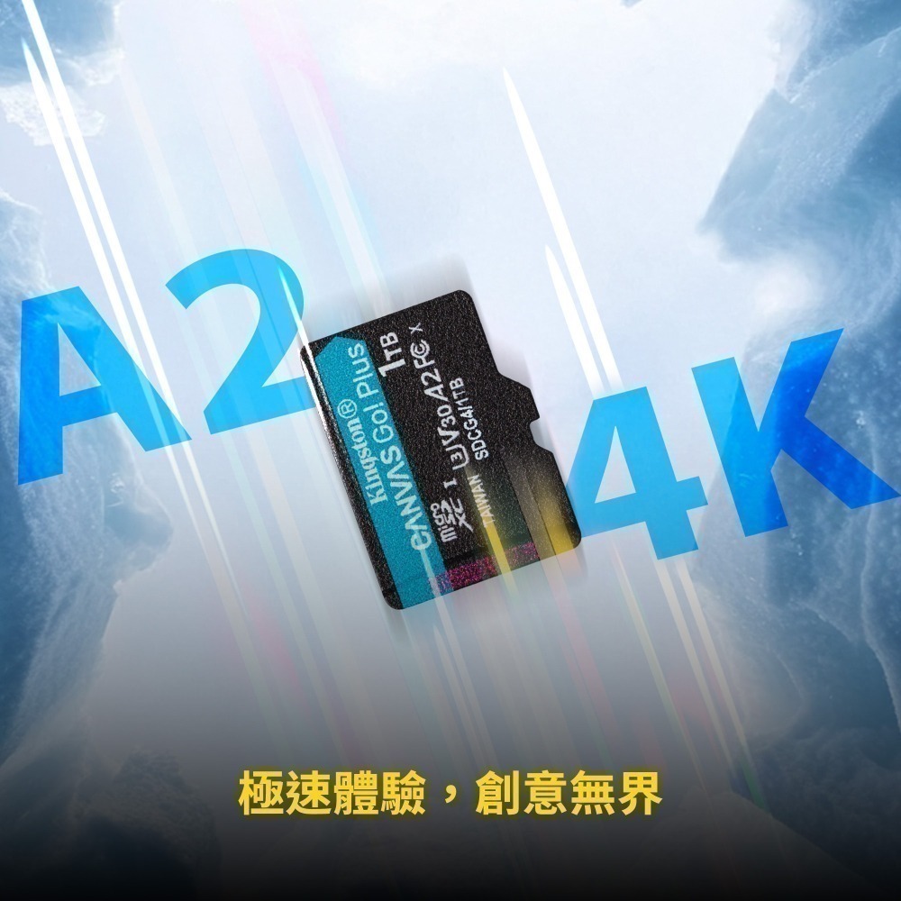 金士頓 Canvas Go!Plus 128GB microSD 記憶卡 UHS-I U3 V30 4K SDCG4-細節圖5