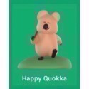 Happy quokka