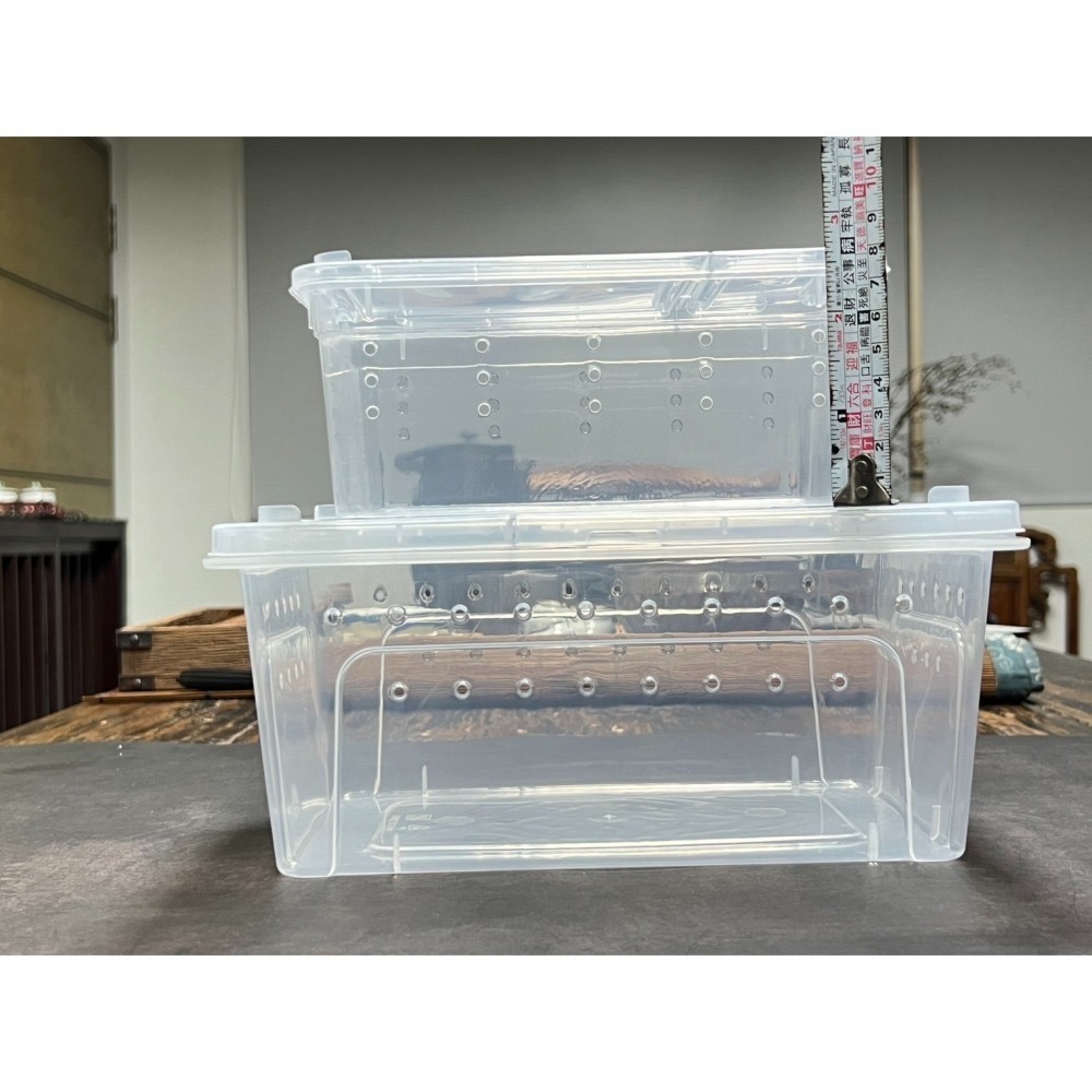 【金】【小箱】黃金杜比亞 飼養盒 豹紋守宮 金杜 紅蟑 掌上明蛛 寵物飼養盒 守宮 金度 度比亞 蟑螂 專用飼料 造粒-細節圖5