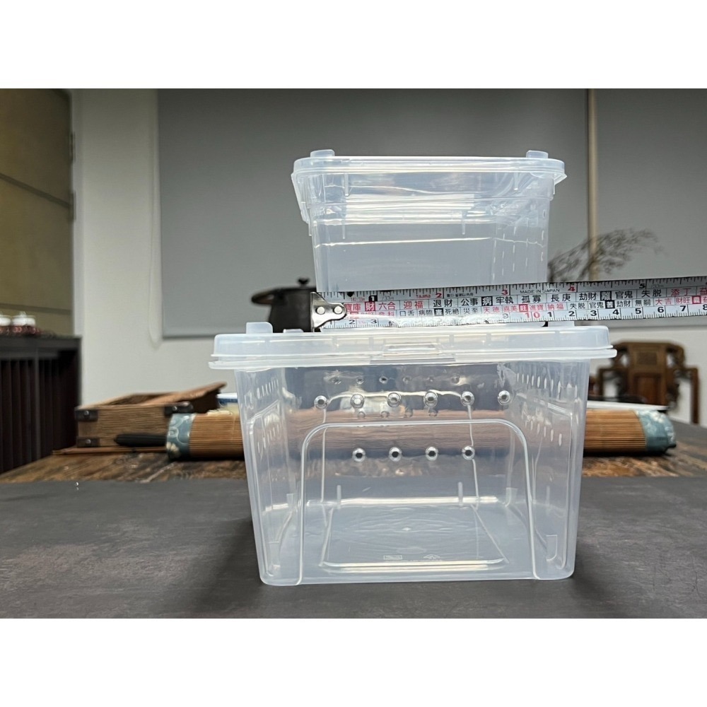 【金】【小箱】黃金杜比亞 飼養盒 豹紋守宮 金杜 紅蟑 掌上明蛛 寵物飼養盒 守宮 金度 度比亞 蟑螂 專用飼料 造粒-細節圖7