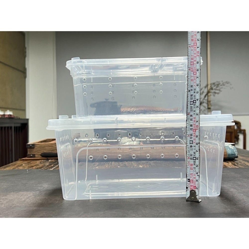 【金】【中箱】黃金杜比亞 飼養盒 豹紋守宮 金杜 紅蟑 壹坪 寵物飼養盒 守宮 金度 度比亞 蟑螂 專用飼料 造粒-細節圖6