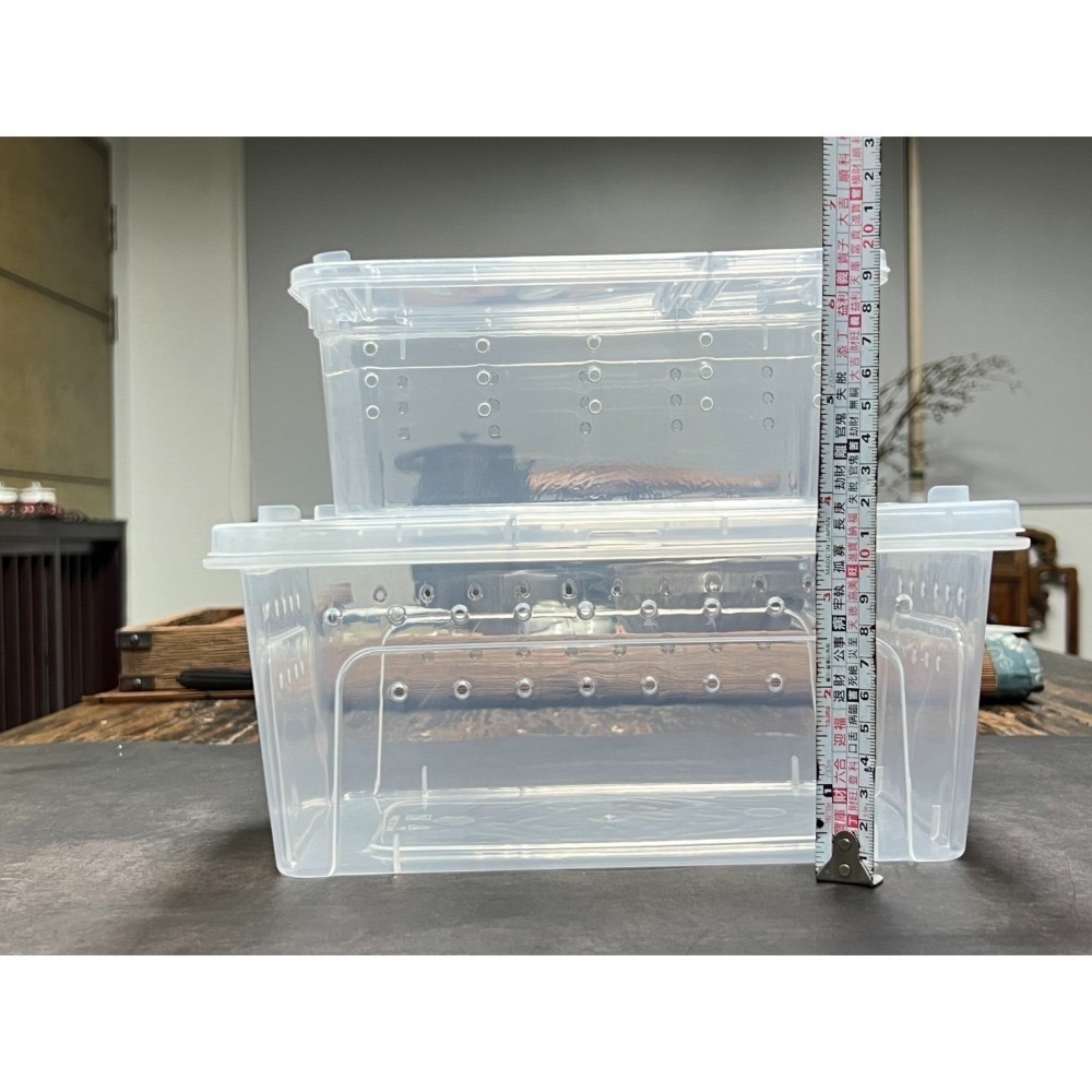 【金】【中箱】黃金杜比亞 飼養盒 豹紋守宮 金杜 紅蟑 壹坪 寵物飼養盒 守宮 金度 度比亞 蟑螂 專用飼料 造粒-細節圖6