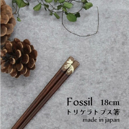 ✨日式筷子✨現貨 日本原裝 日本製 筷子 餐具 日本餐具 露營用具 六角筷 尖頭筷子 環保餐具 外出餐具 餐具組-規格圖9