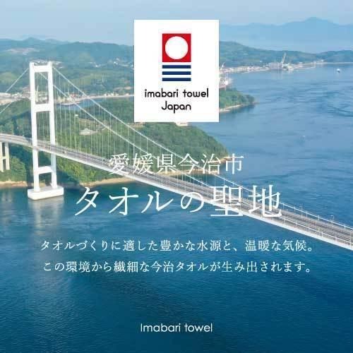 ✨銷售最好✨【今治毛巾】毛巾 浴巾 今治浴巾 飯店浴巾 日本毛巾 運動毛巾 純棉浴巾 吸水毛巾 日本製 現貨 條紋毛巾-細節圖6