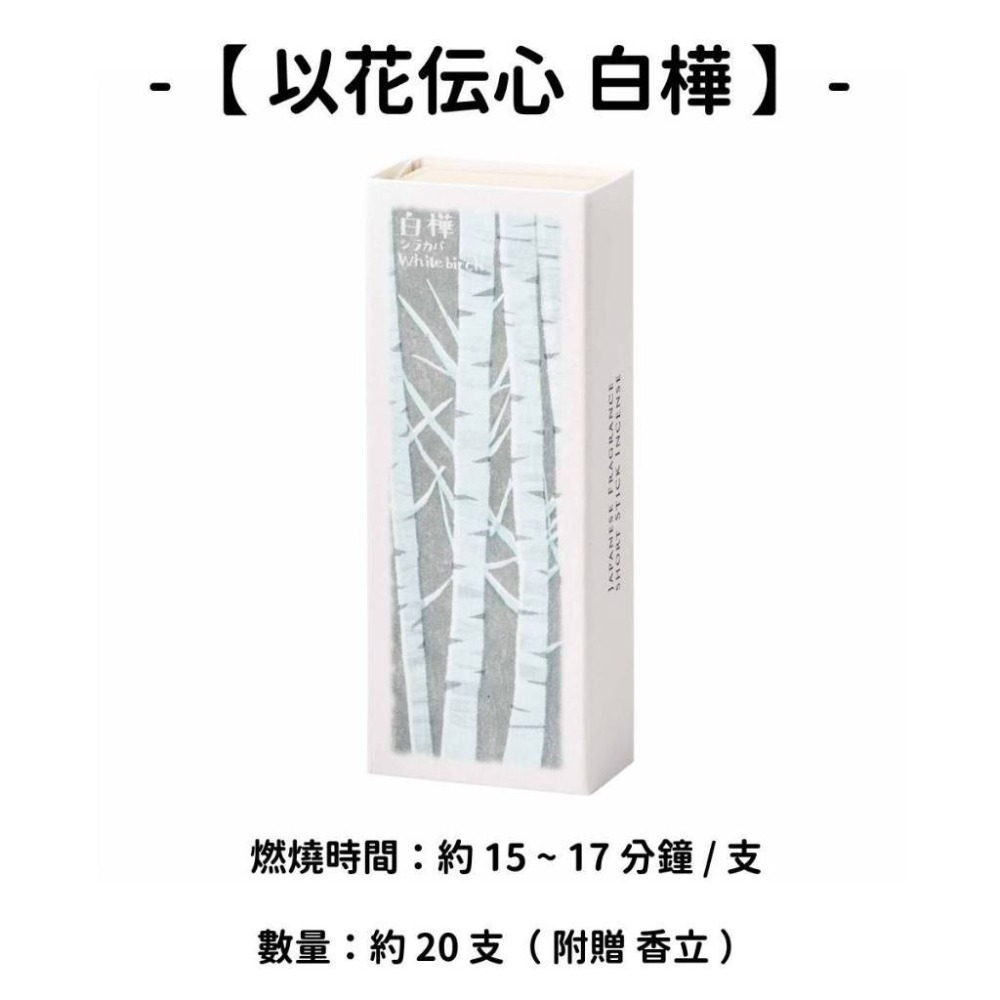 【以花伝心】白樺