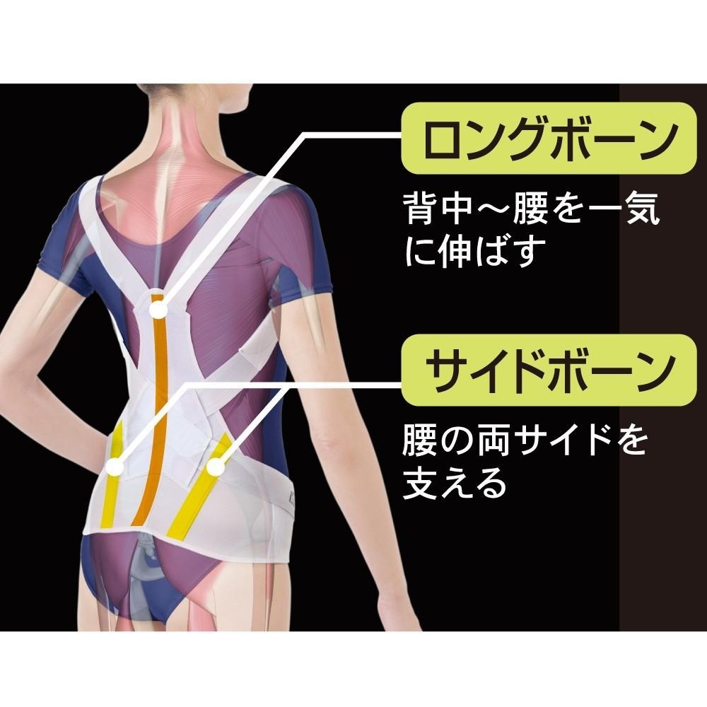 ✨愛美首選✨【護腰美姿調整帶】護腰 護腰帶 束腹帶 護具 日本製 支撐護腰帶 束腹護腰帶 束腰帶 骨盆帶 alphax-細節圖7