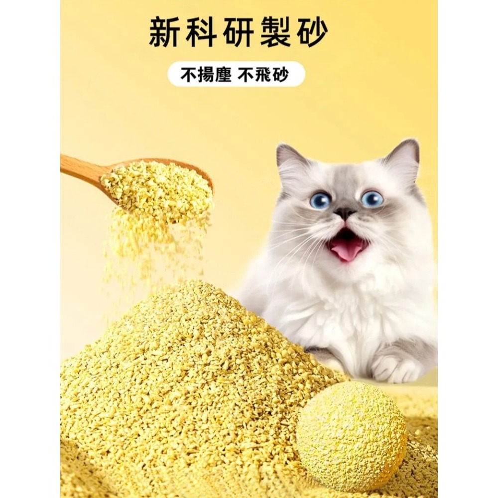 【免運】AOYI 奧藝🔥全能小米貓砂｜多件優惠🔸紓壓抑菌🔸強效凝結📢譽的生食舖【保證正品】【📌25/11】-細節圖7