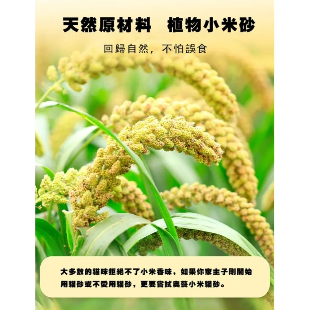 【免運】AOYI 奧藝🔥全能小米貓砂｜多件優惠🔸紓壓抑菌🔸強效凝結📢譽的生食舖【保證正品】【📌25/11】-細節圖9