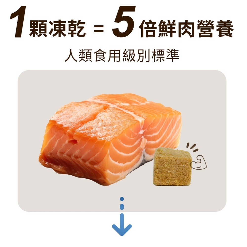 【⚡免運】Abao🔥凍吃凍 原肉凍乾｜鱉蛋、鮭魚、柳葉魚、鱈魚、牛肉、雞肉、馬肉、鹿肉、蝦肉📢譽的生活美食舖-細節圖3