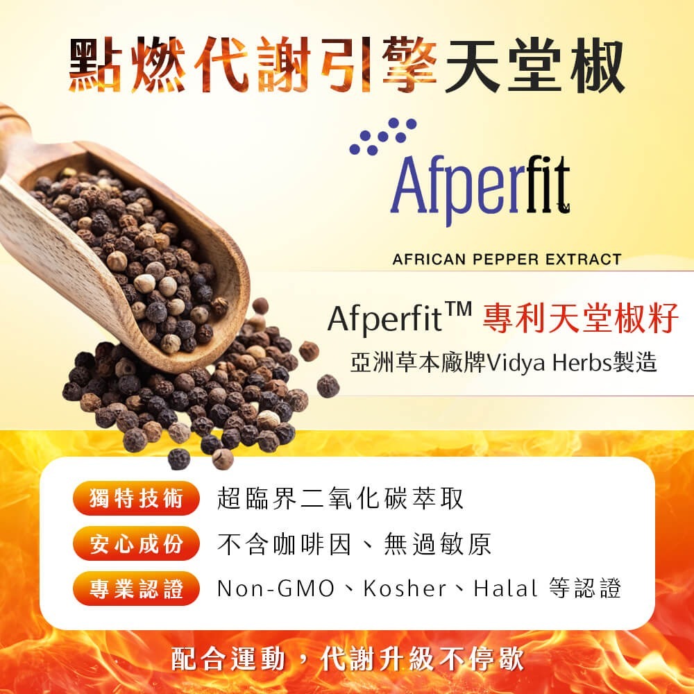 【免運】九五之丹🔥閃澱．享受酵素＋白腎豆｜多件優惠🔸天堂椒🔸藤黃果📢譽的生食舖【保證正品】【📌25/11】-細節圖4