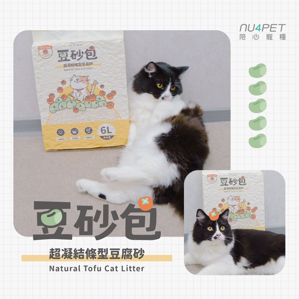 🐈️豆砂包｜6L