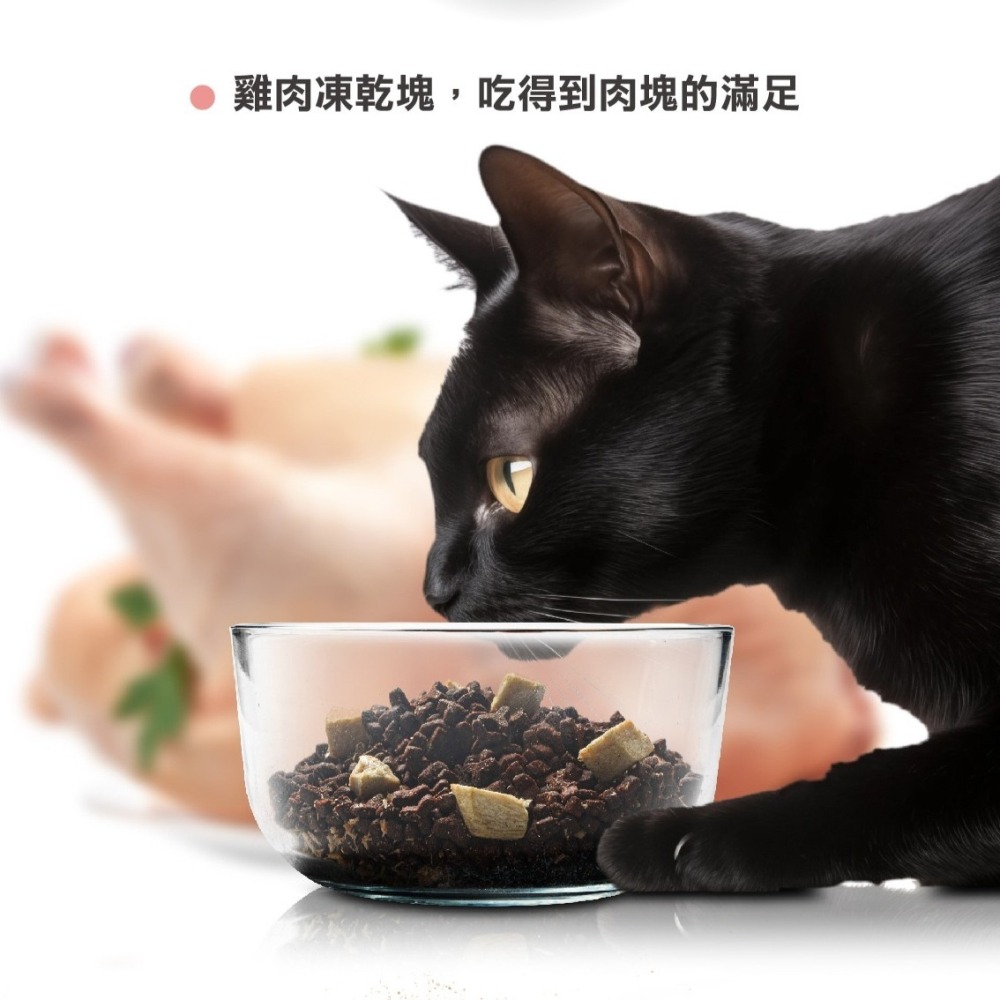 【免運】喵探長🔥派大雞ｘ邁香魚無榖凍乾糧｜多件優惠🔸優質肉源📢譽的生食舖【保證正品】【📌25/11】-細節圖3