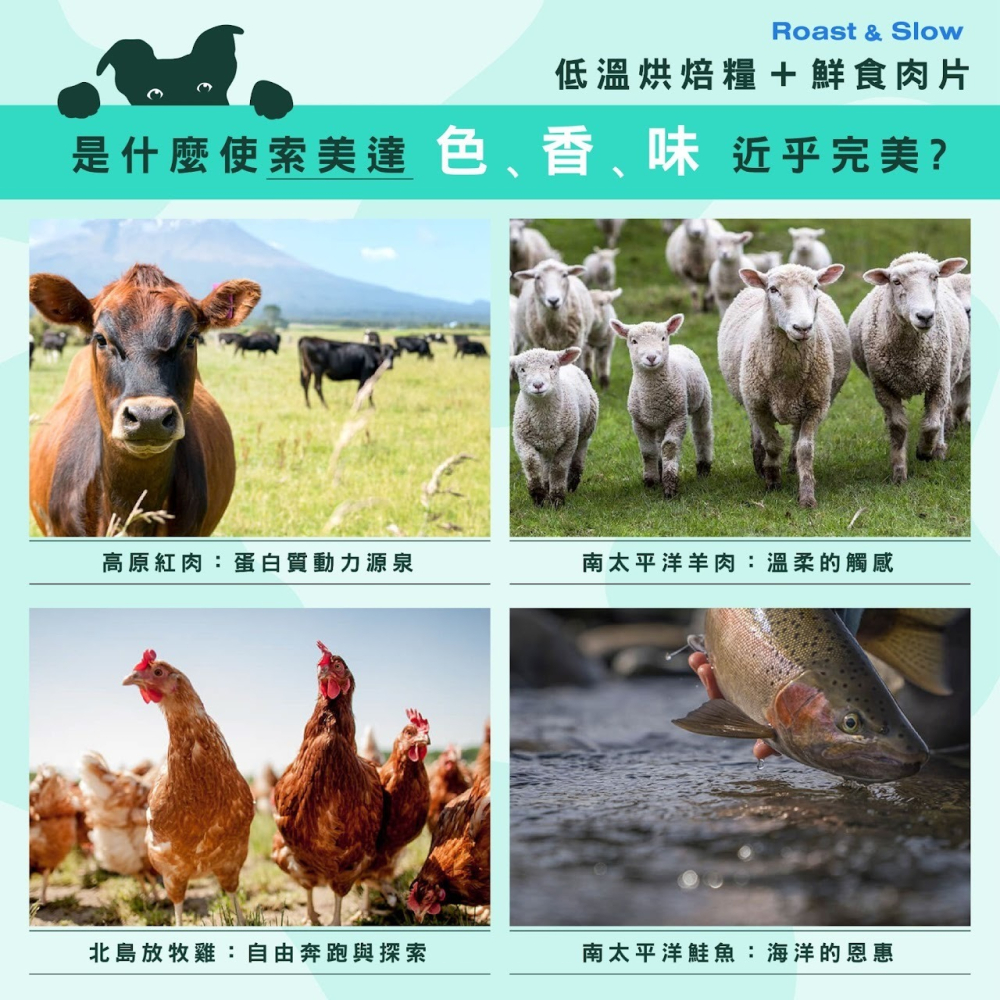 【⚡免運】SOULMATE 索美達🔥低溫烘焙＋鮮肉餐｜犬｜牛肉、羊肉、雞肉、深海魚📢譽的生活美食舖-細節圖6