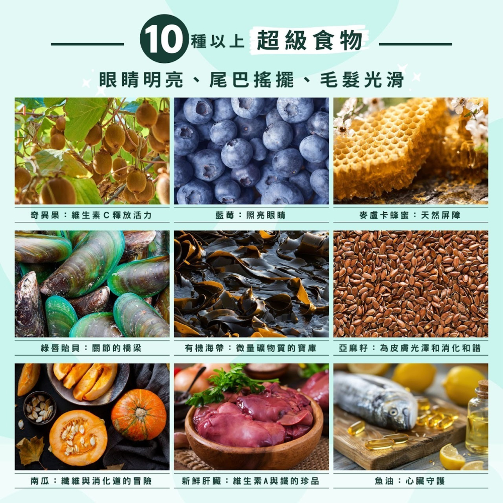 【⚡免運】SOULMATE 索美達🔥低溫烘焙＋鮮肉餐｜犬｜牛肉、羊肉、雞肉、深海魚📢譽的生活美食舖-細節圖7