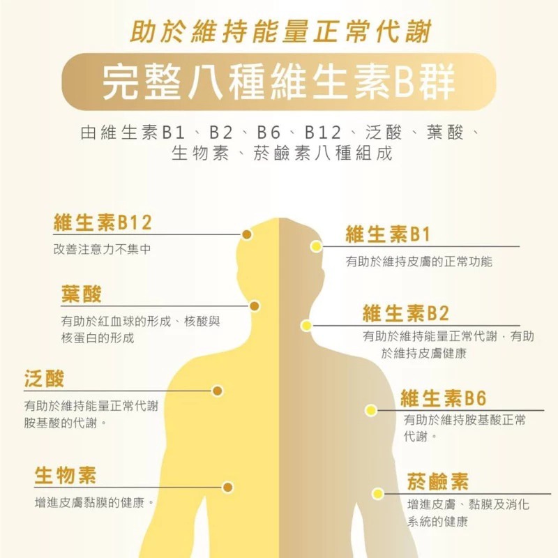 【⚡免運】MedBIO 美白優🔥酵母B群＋專利鋅｜酵母B群、維生素C、牛磺酸📢譽的生活美食舖-細節圖3