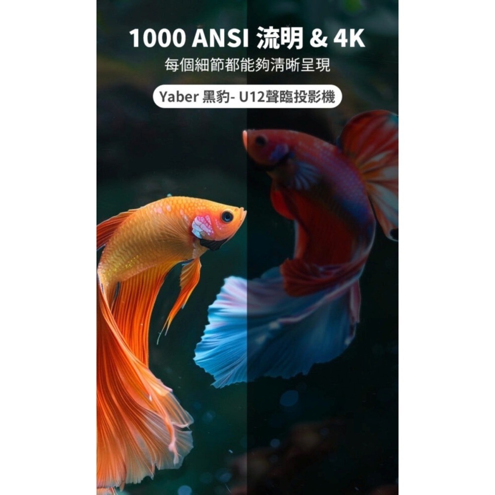 【⚡免運】LC YABER🔥U12｜黑豹聲臨投影機📢譽的生活美食舖【25/02/24】-細節圖6