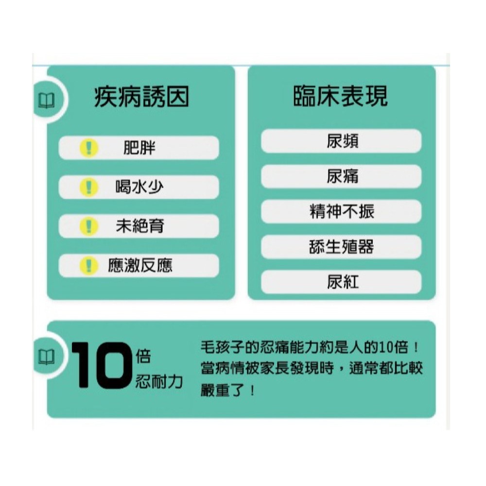 【⚡免運】CATLINK🔥X2 MAX｜智慧貓砂機＋踏板📢譽的生活美食舖-細節圖4