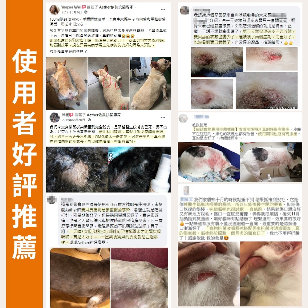 【⚡免運】Aether 依鈦抗菌專家🔥寵物抗菌噴霧｜100ml、250ml📢譽的生活美食舖【25/03/03】-細節圖10
