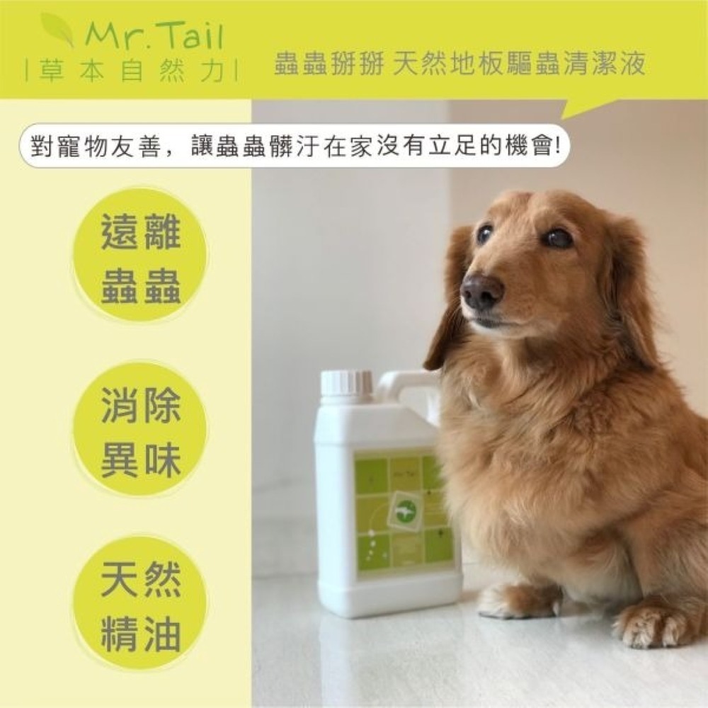 【⚡免運】Mr.Tail🔥除蚤驅蟲噴劑｜除蚤驅蟲洗毛精｜薰衣草茶樹清耳液📢譽的生活美食舖【25/03/13】-細節圖6