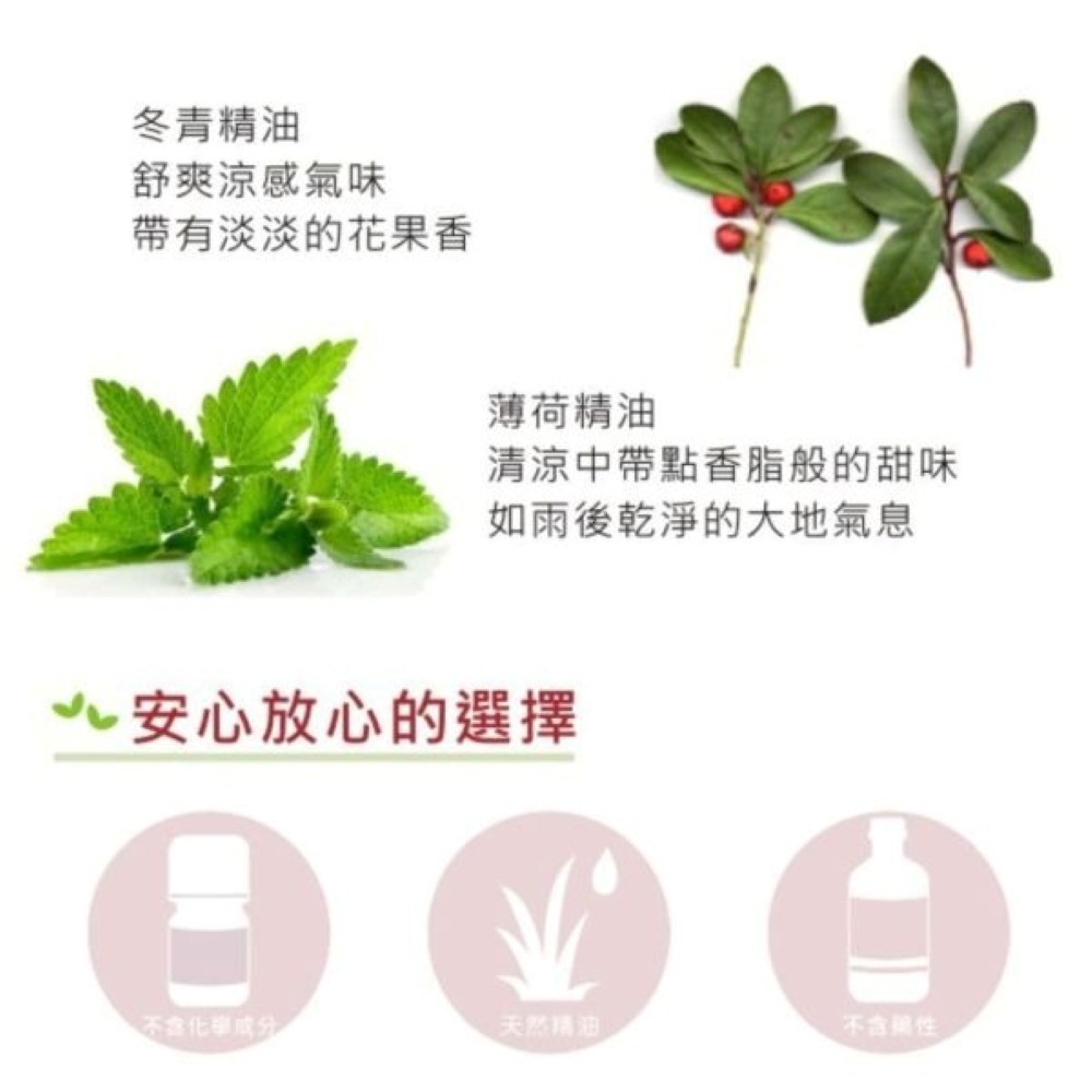 【⚡免運】Mr.Tail🔥除蚤驅蟲噴劑｜除蚤驅蟲洗毛精｜薰衣草茶樹清耳液📢譽的生活美食舖【25/03/13】-規格圖11