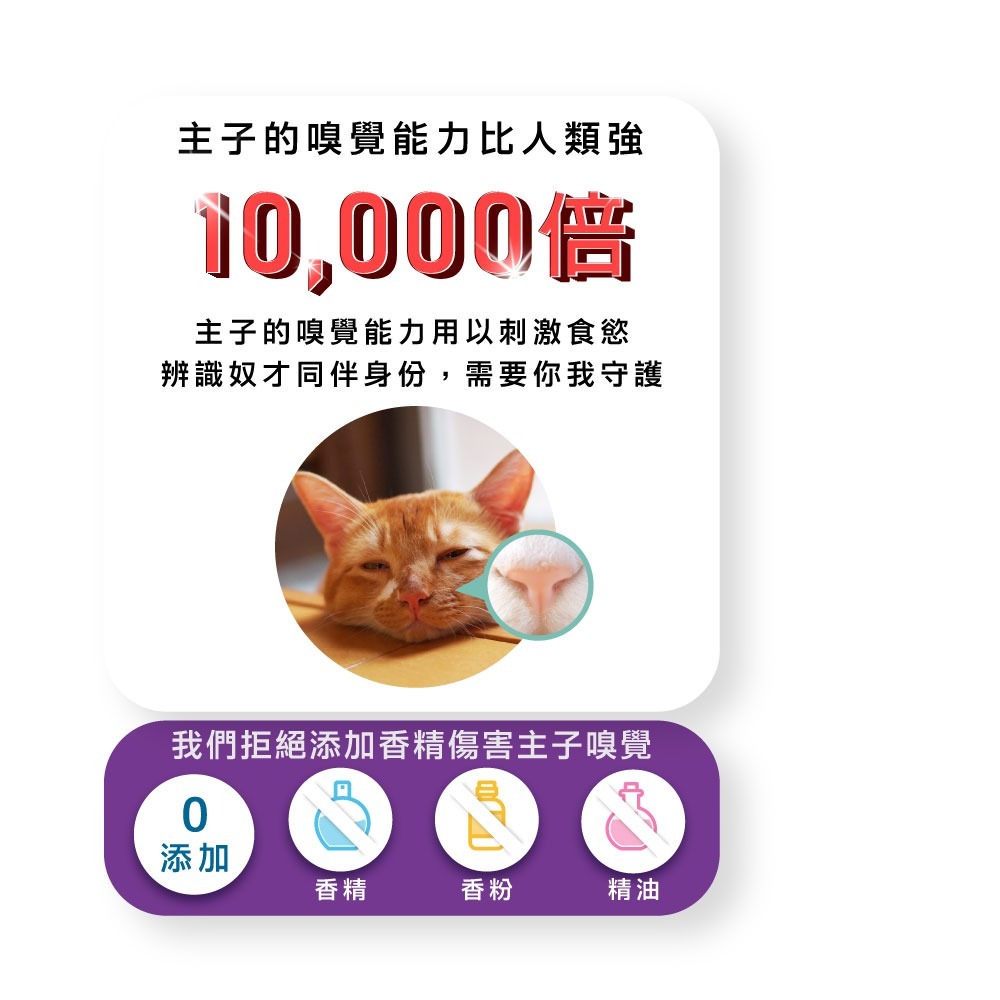 【⚡免運】ODOUT 臭味滾🔥無香除臭瞬吸礦砂｜天使貓砂📢譽的生活美食舖【25/03/29】-細節圖7