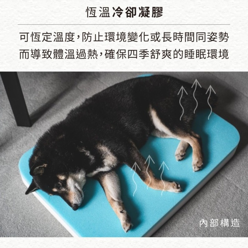 【⚡免運】澳洲 EzyDog🔥Lounger恆溫記憶沙發床📢譽的生食舖【保證正品】【25/04/24】-細節圖5