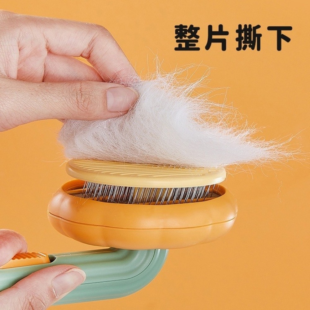 【免運】喵喵小窩🔥南瓜寵物梳📢譽的生食舖【保證正品】【📌25/05/08】-細節圖5
