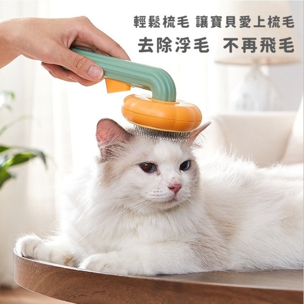 【免運】喵喵小窩🔥南瓜寵物梳📢譽的生食舖【保證正品】【📌25/05/08】-細節圖8