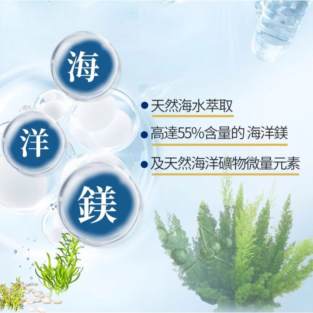 【免運】艾思維康🔥葡萄糖胺＋海藻鈣🔹素食｜葡萄糖胺、鈣、玻尿酸、MSM📢譽的生食舖【保證正品】【📌25/06】-細節圖4