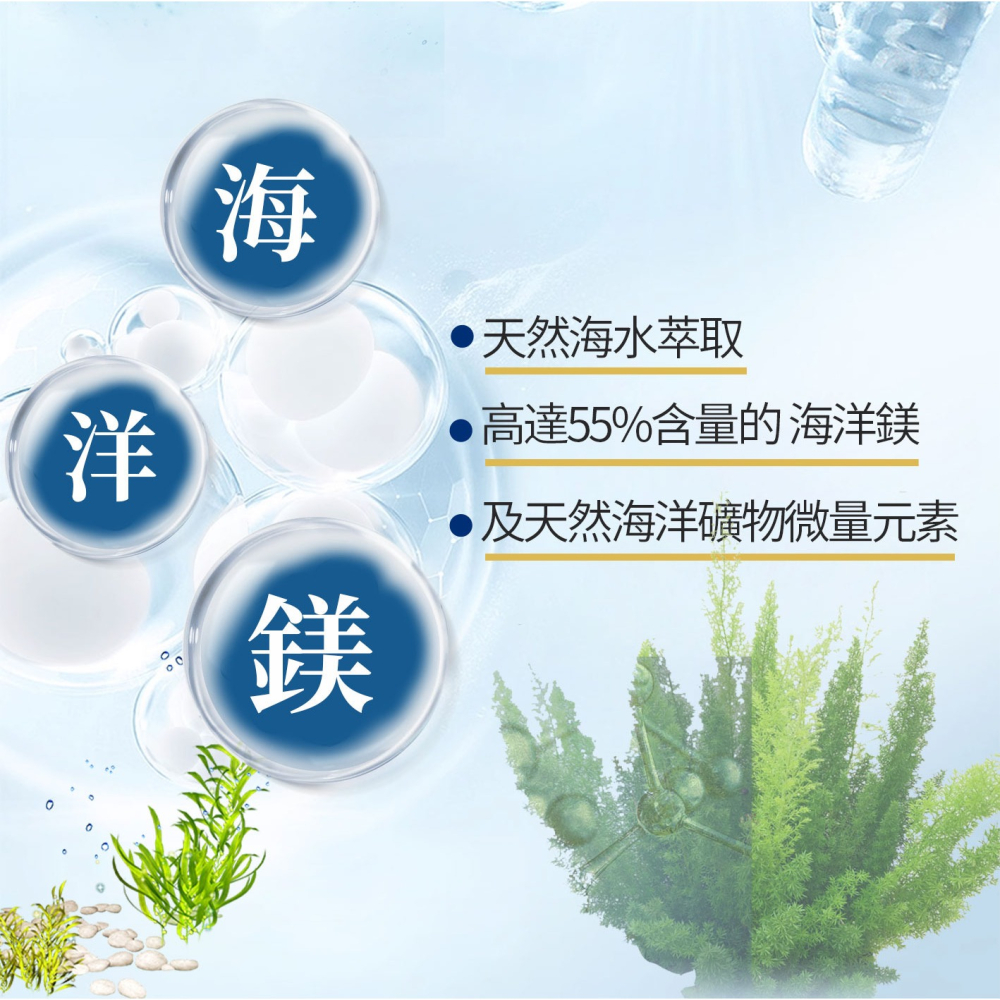 【會員優惠】艾思維康🔥葡萄糖胺＋海藻鈣｜MSN🔸海藻鈣🔸海洋鎂🔸玻尿酸🔸礦物質📢譽的生活美食舖 📌2603-細節圖4