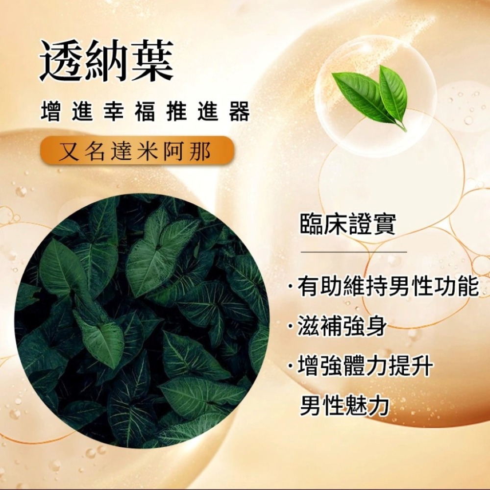 【免運】艾思維康🔥極濃黑瑪卡EX｜多件優惠🔸精胺酸🔸紅景天🔸瓜拿納📢譽的生食舖【保證正品】【📌25/11】-細節圖8