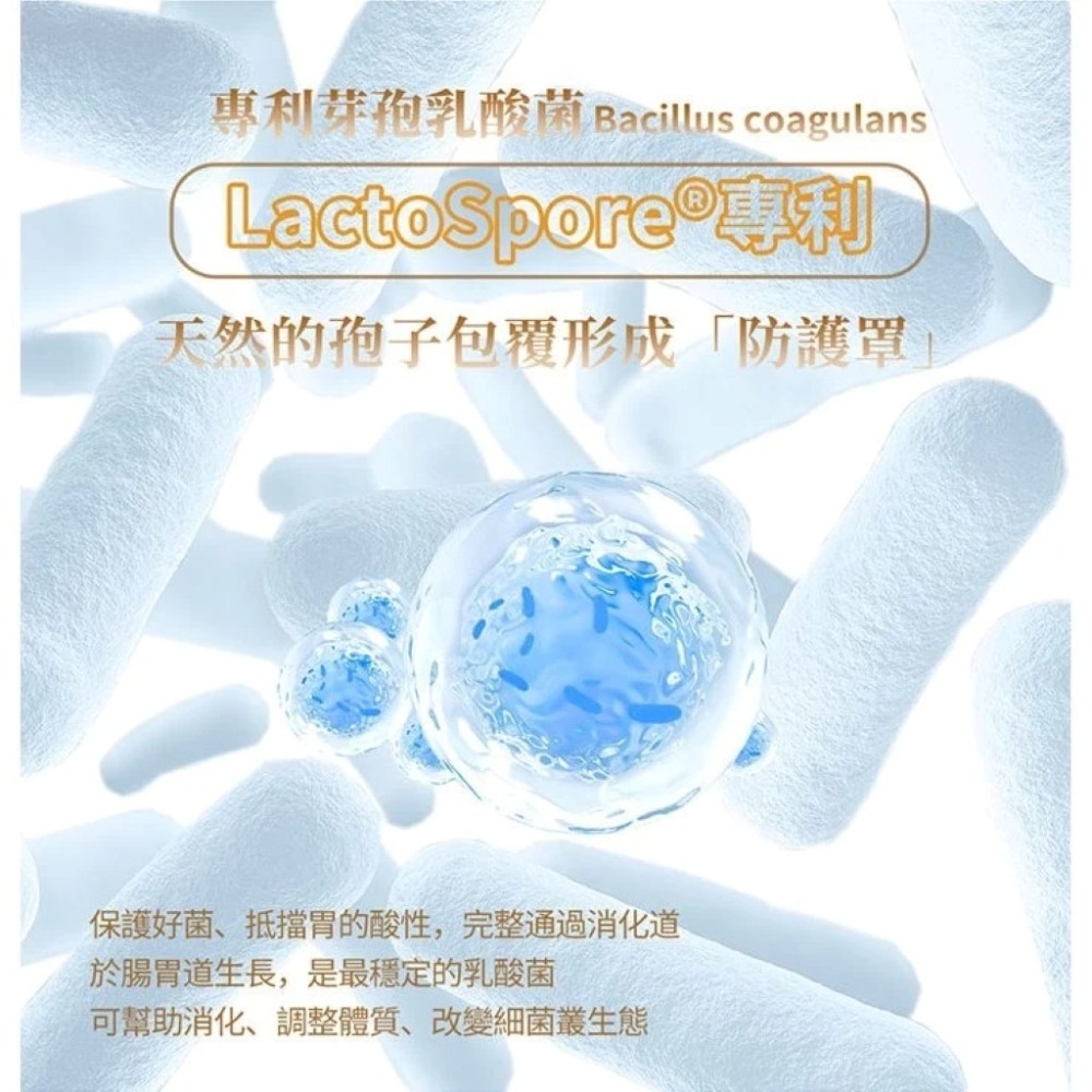 【免運】艾思維康🔥清暢酵素＋益生菌｜多件優惠🔸酵母菌🔸醋酸菌🔸乳酸菌📢譽的生食舖【保證正品】【📌25/11】-細節圖5