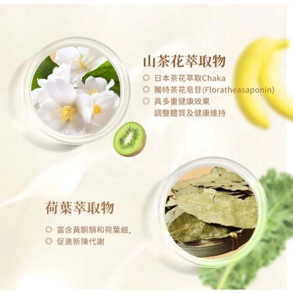 【免運】艾思維康🔥清暢酵素＋益生菌｜多件優惠🔸酵母菌🔸醋酸菌🔸乳酸菌📢譽的生食舖【保證正品】【📌25/11】-細節圖8