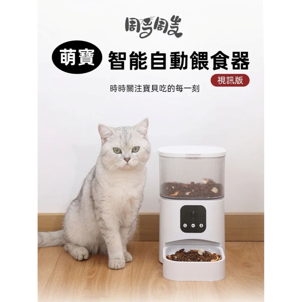 ⚡智能自動餵食器｜視訊，會員：1643