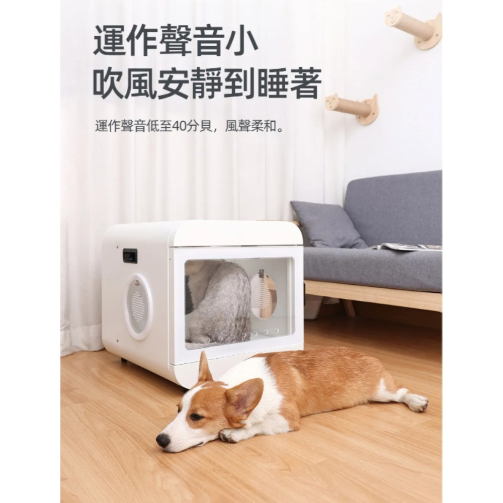 【免運】周周🔥65L寵物毛髮烘乾箱｜大內艙🔸低分貝🔸速吹乾🔸精準控溫📢譽的生食舖【保證正品】-細節圖3