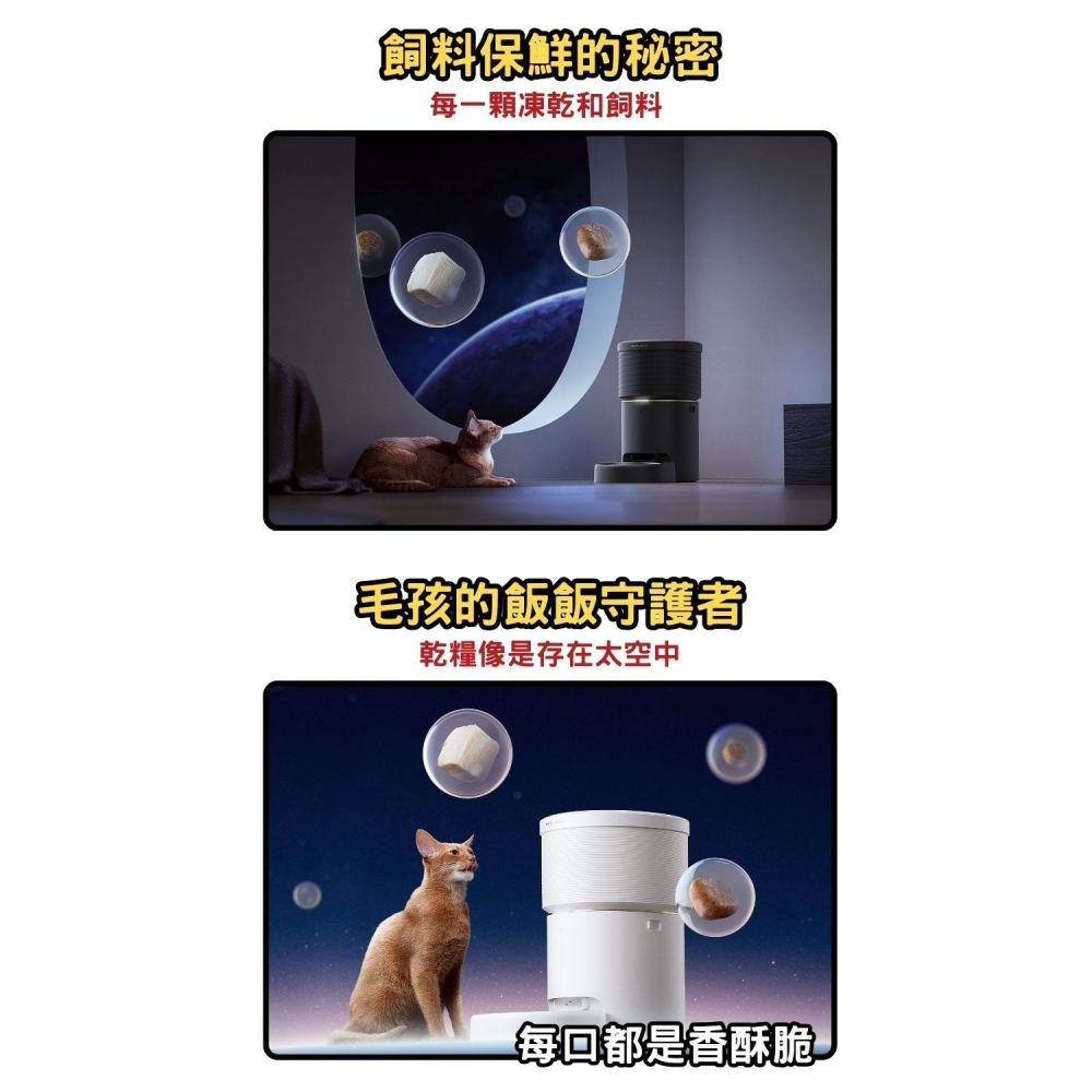 【免運】PETLIBRO🔥Space 8L真空餵食器｜APP操作📢譽的生食舖【保證正品】【📌25/08】-細節圖5